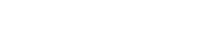 ZJU IC Logo
